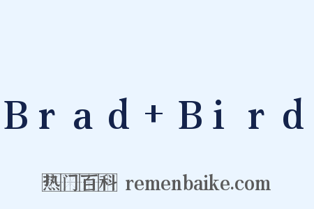 Brad+Bird是什么意思的图片